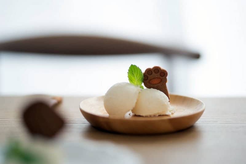 Dos bolas de helado de vainilla en un plato sobre una mesa